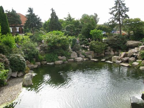 IMG 1592 1 1024x768