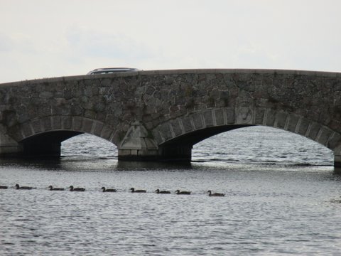IMG 5927