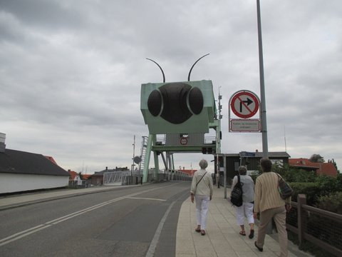 IMG 5939