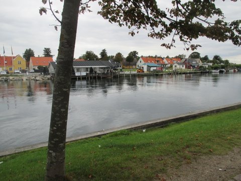 IMG 5941