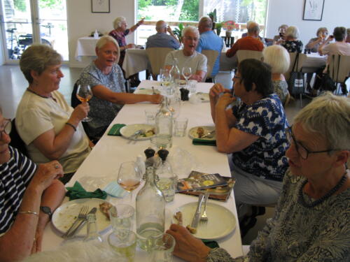 IMG 2029 (1) (1)