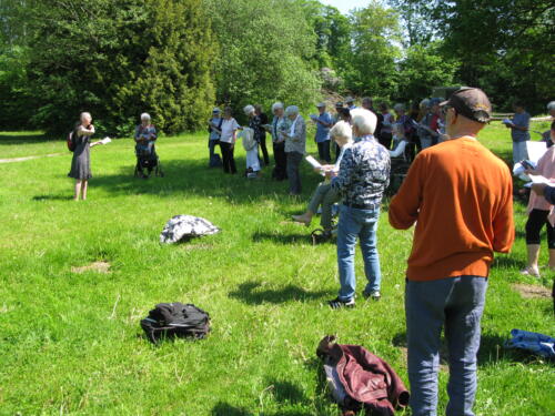 IMG 2031 (1)