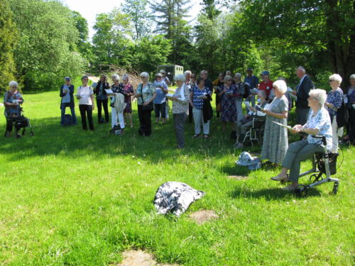 IMG 2032 (1)