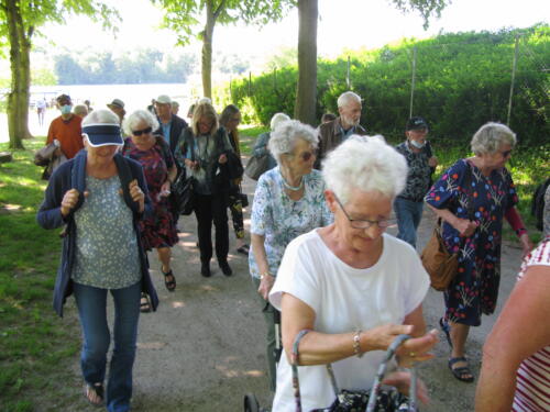 IMG 2037 (1)