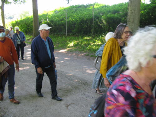 IMG 2038 (1) (1)