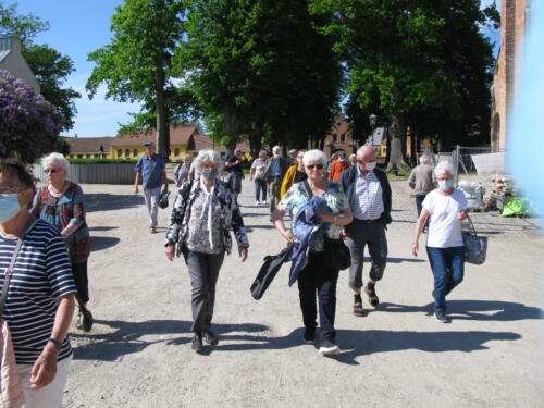 IMG 2039 (1) (1)